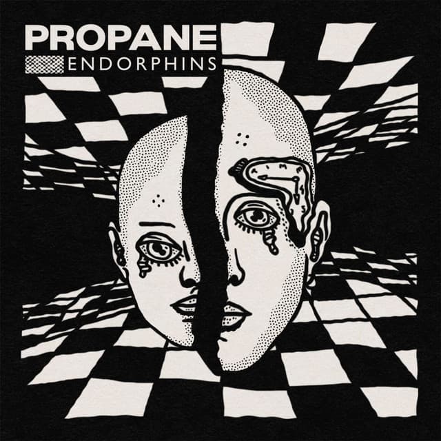 Cover artwork for “Endorphins - Edit” by Propane