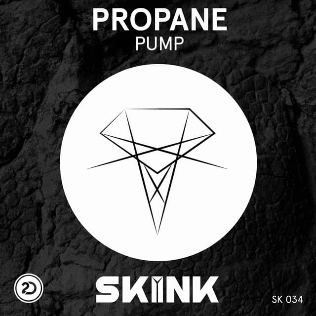 Cover artwork for “Pump” by Propane
