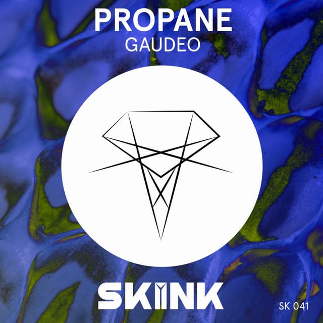 Cover artwork for “Gaudeo” by Propane