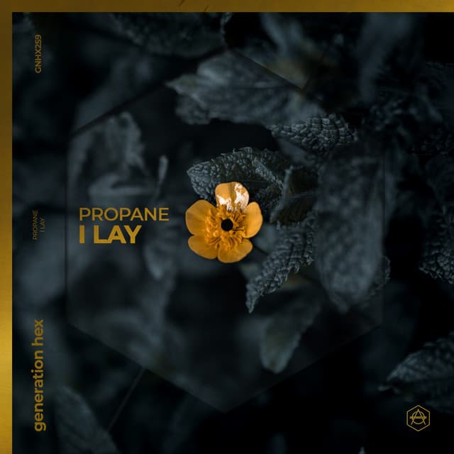 Cover artwork for “I Lay - Extended Mix” by Propane